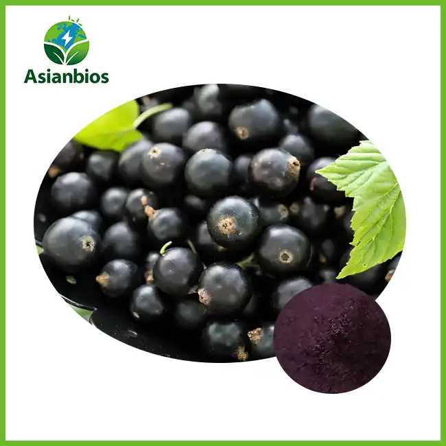 Acai Berry Bulk Powder Acai Berry Bulk Powder